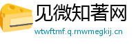 见微知著网